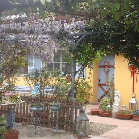 Lavanda e Rosmarino Sandigliano Esterno foto