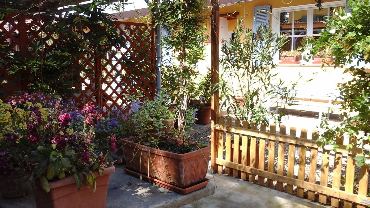 Lavanda e Rosmarino Sandigliano Esterno foto