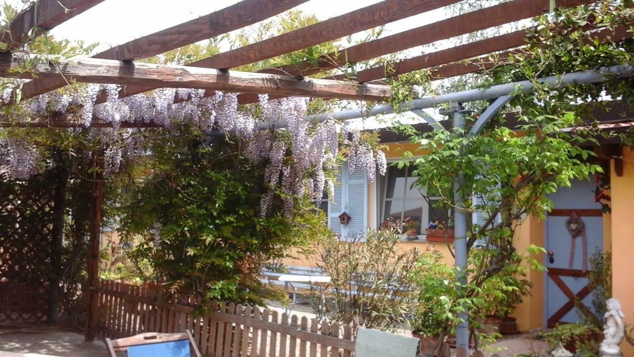 Lavanda e Rosmarino Sandigliano Esterno foto