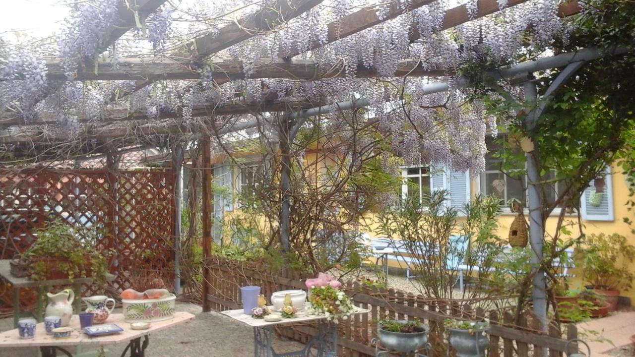 Lavanda e Rosmarino Sandigliano Esterno foto
