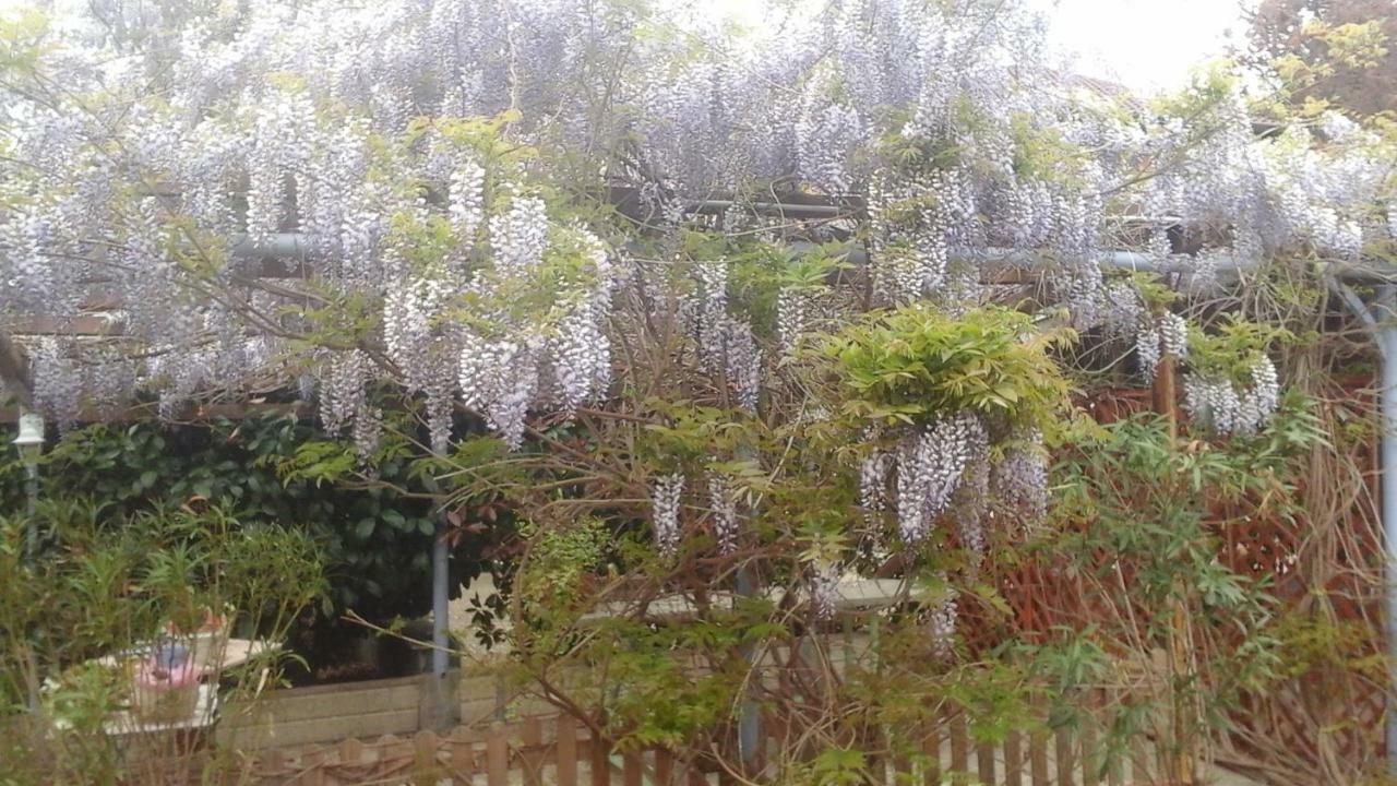 Lavanda e Rosmarino Sandigliano Esterno foto